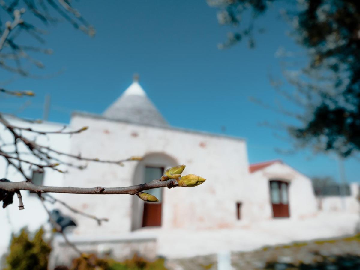 Rifugio Di Puglia - Trulli & Dimore Alberobello Buitenkant foto